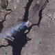 Illustration for article titled This Is How 9/11 Looked From Space